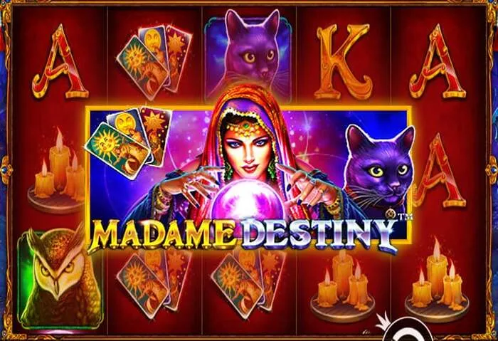 Table games featuring Spassino Casino Promo Code action.