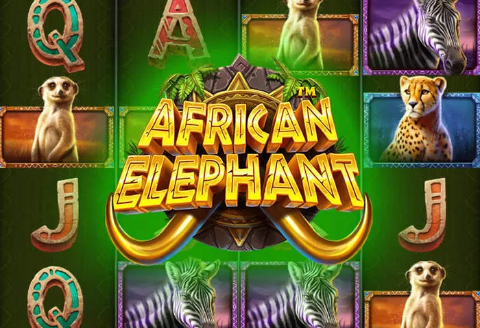 Image promotionnelle du bonus gratuit Spassino Casino
