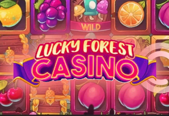 Newest video slots available at Spassino Casino